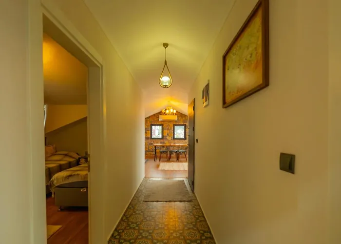 Appartement Deniz Loft *